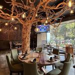 Palominos Providencia | Restaurante de cortes