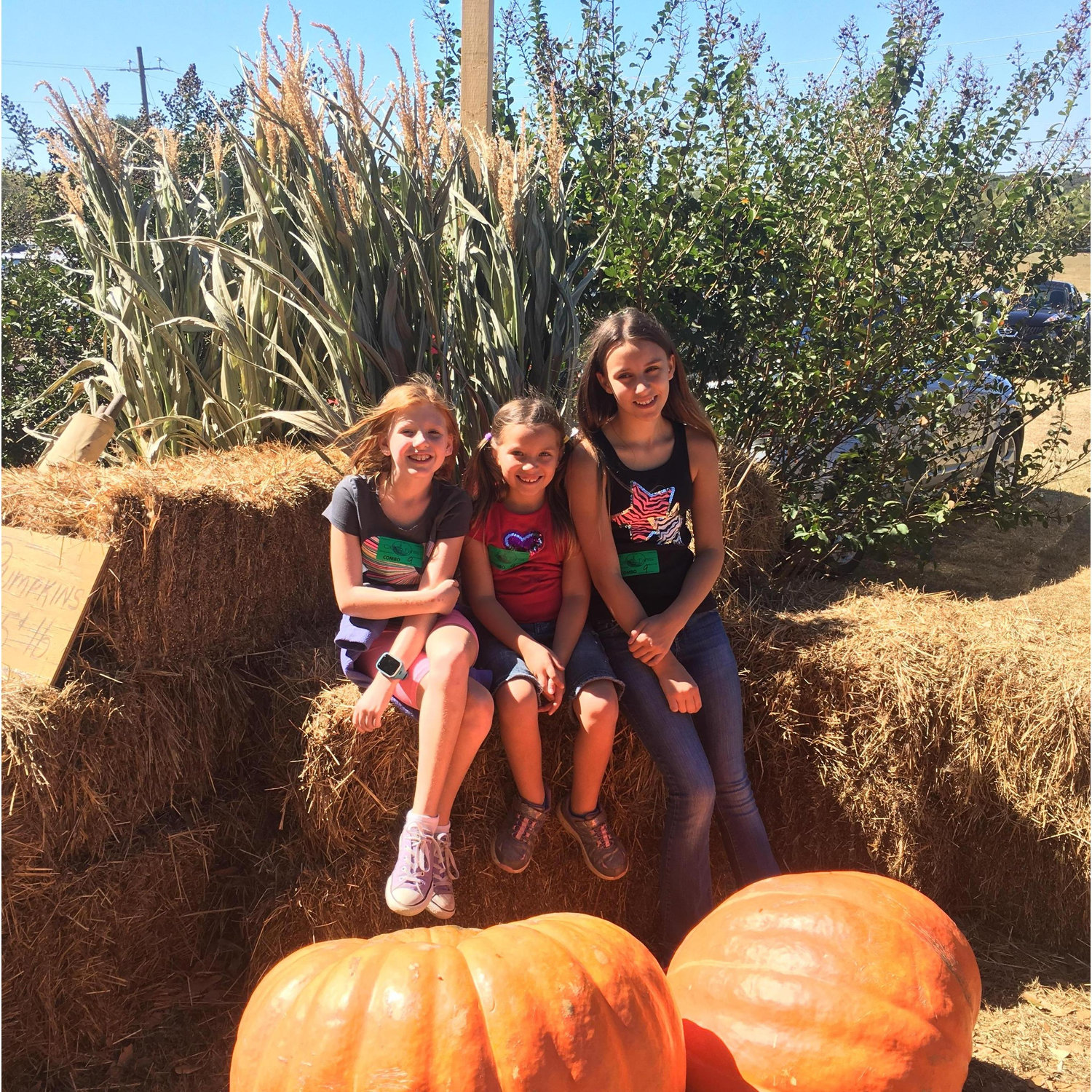 One of our first family outings October 2016.