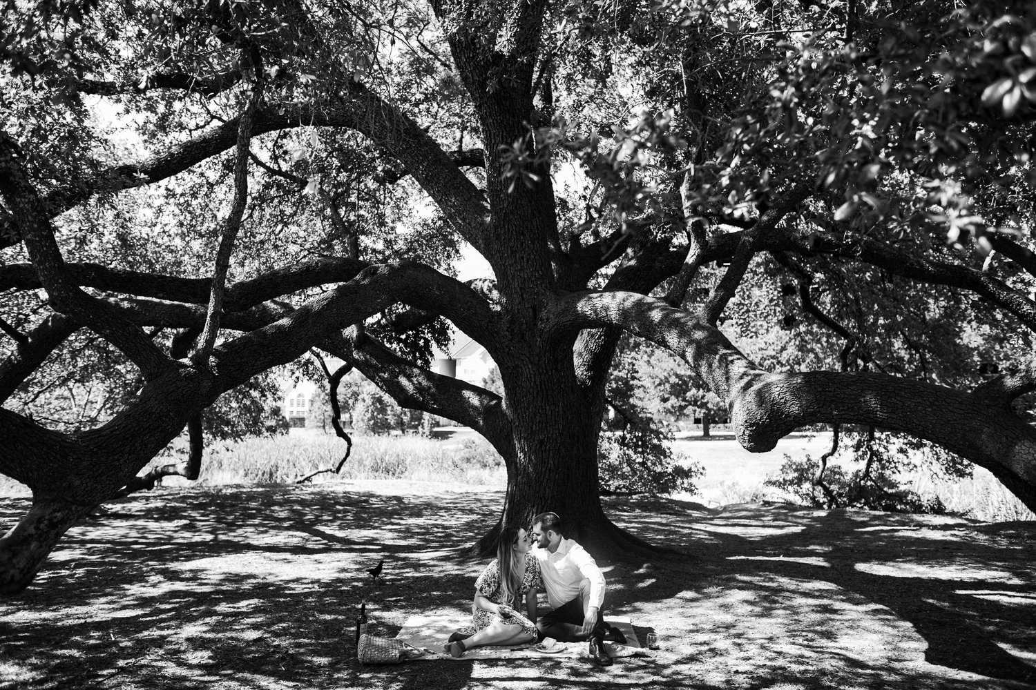The Wedding Website of Taylor Roper and Maxwell Brown
