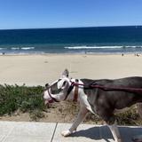 Walking, Running, Biking the Beach Strand