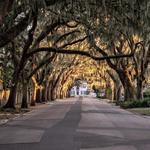Magnolia Avenue