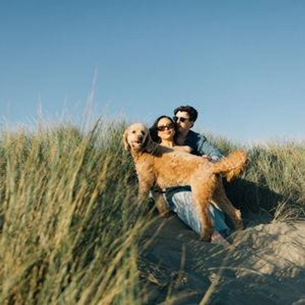 Honeymoon and Home Renovation Fund