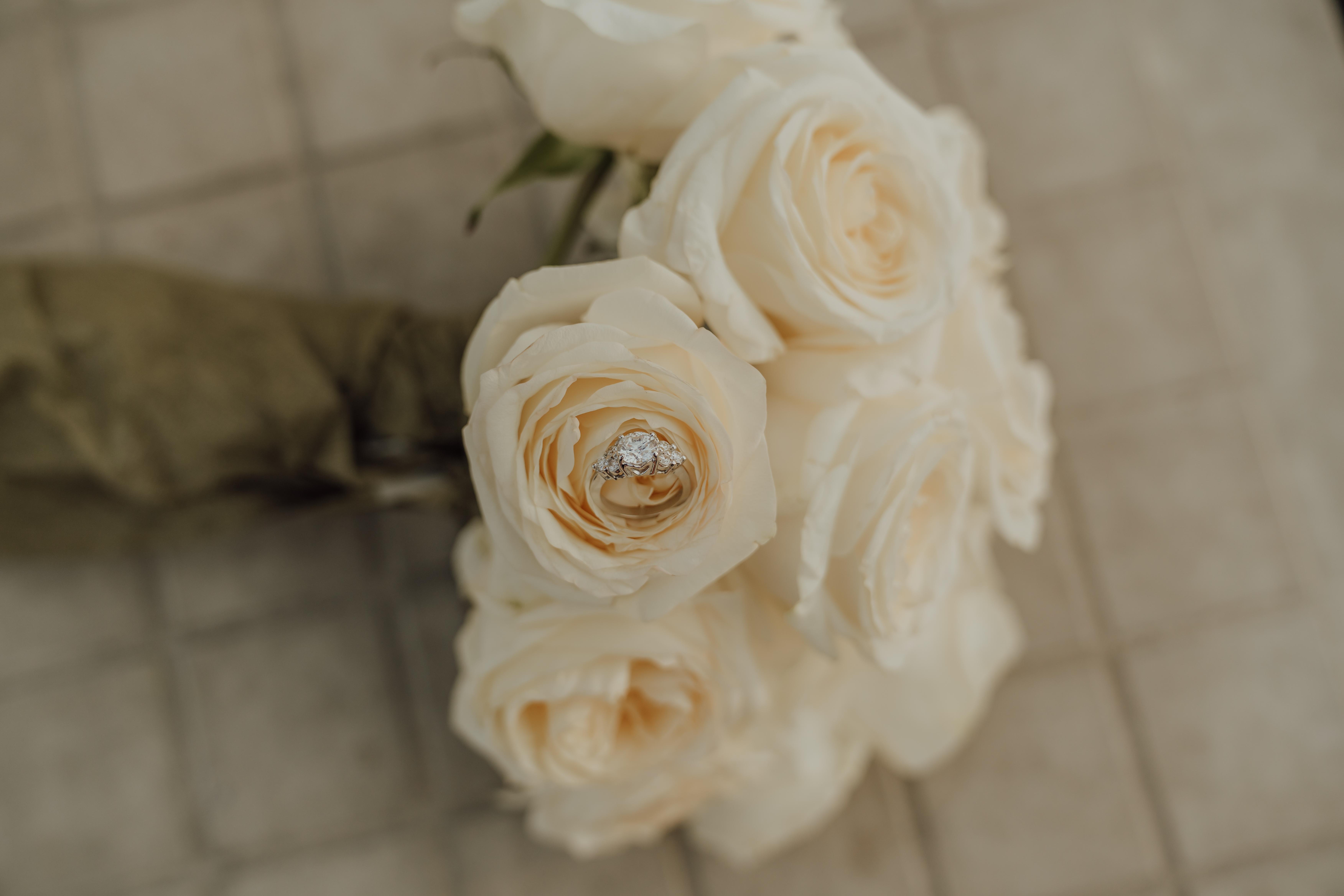 The Wedding Website of Natalie Taby and Nabeel Mamar