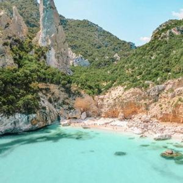 Honeymoon via credit/debit
