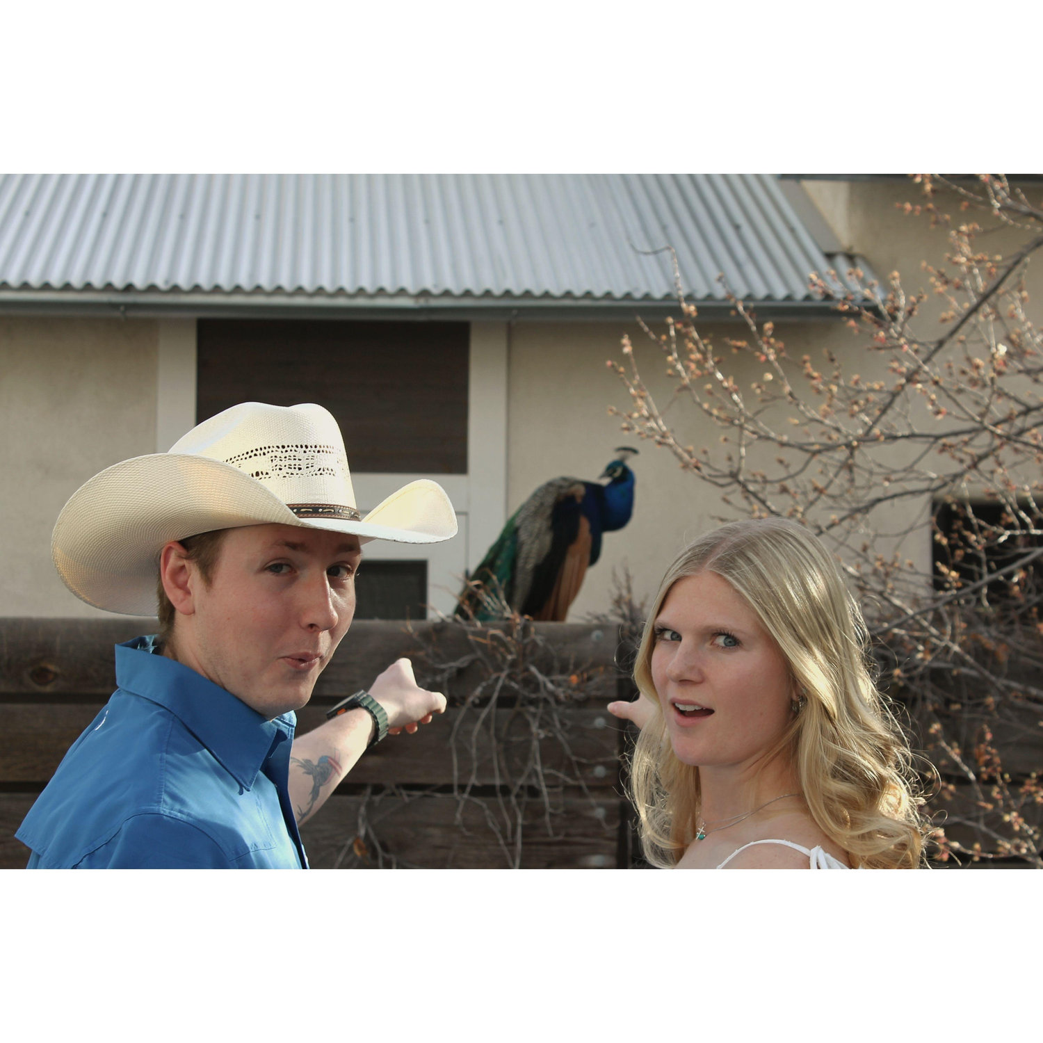 During our engagement pictures there was a Peacock so we had to take a picture with it!