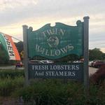 Twin Willows