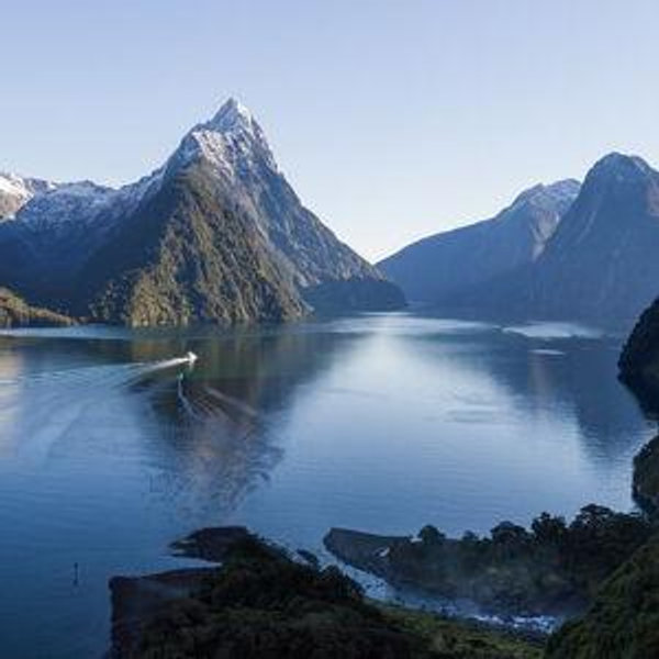 New Zealand Honeymoon