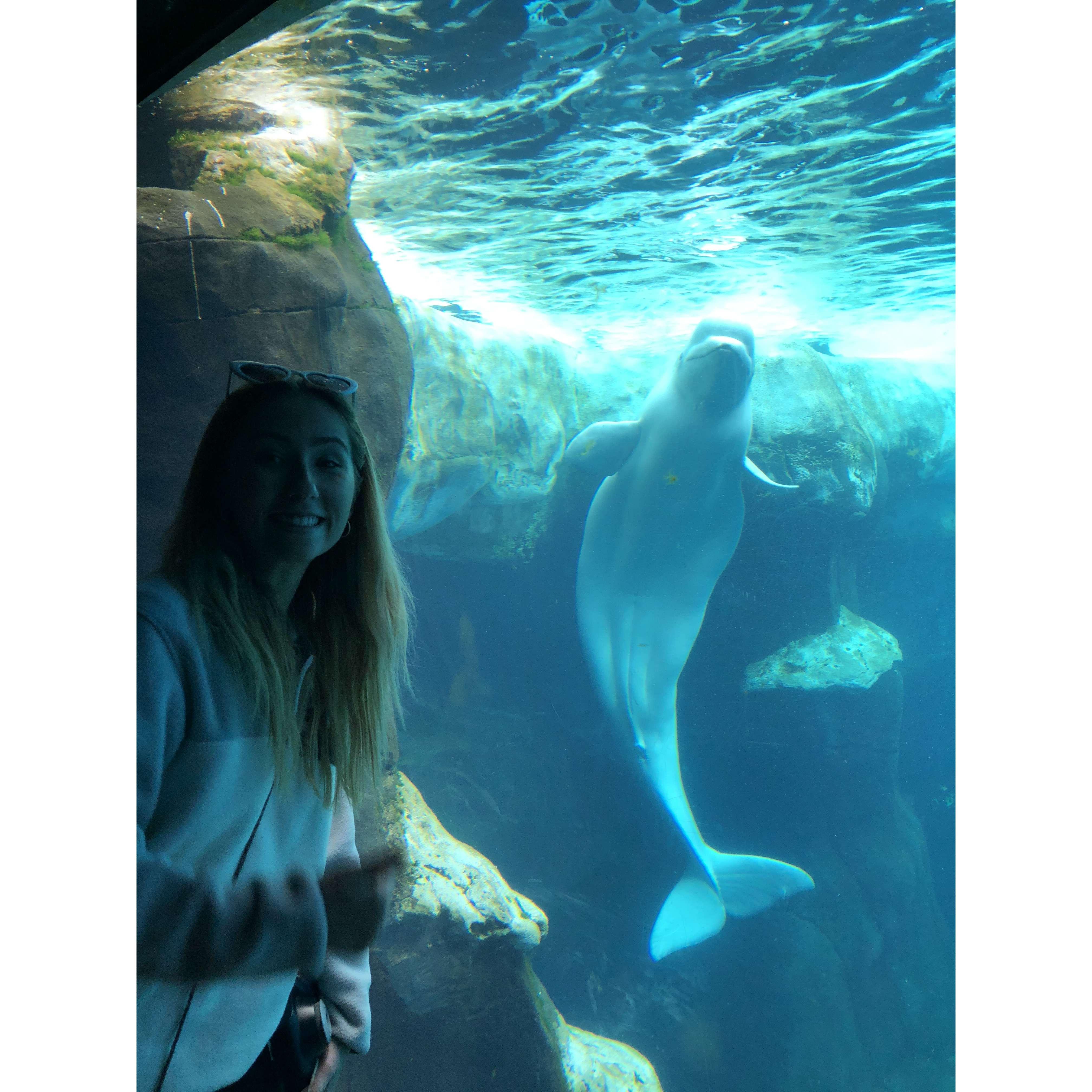 Morgan smiling big next to her favorite Sea Creature on our trip to San Diego's Sea World in 2018!