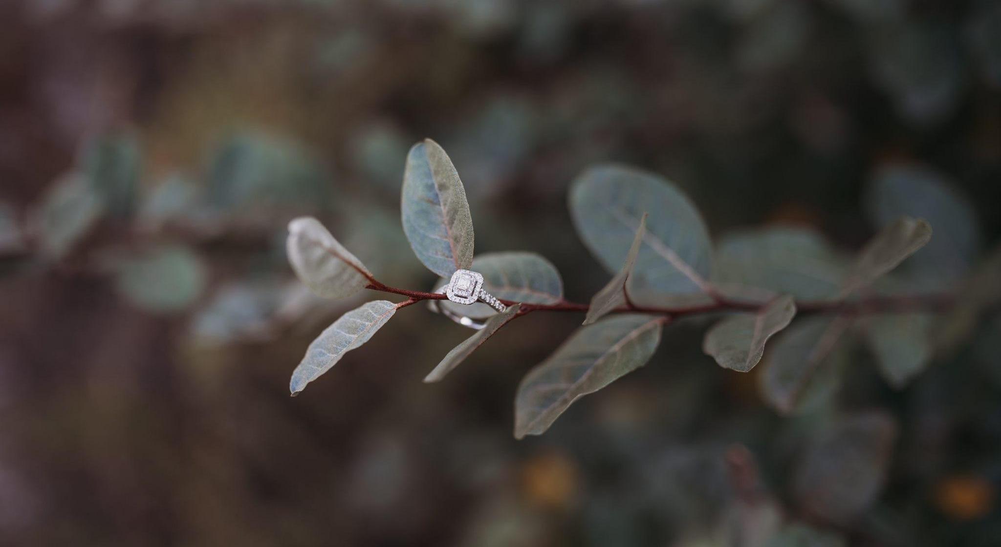 Footer image