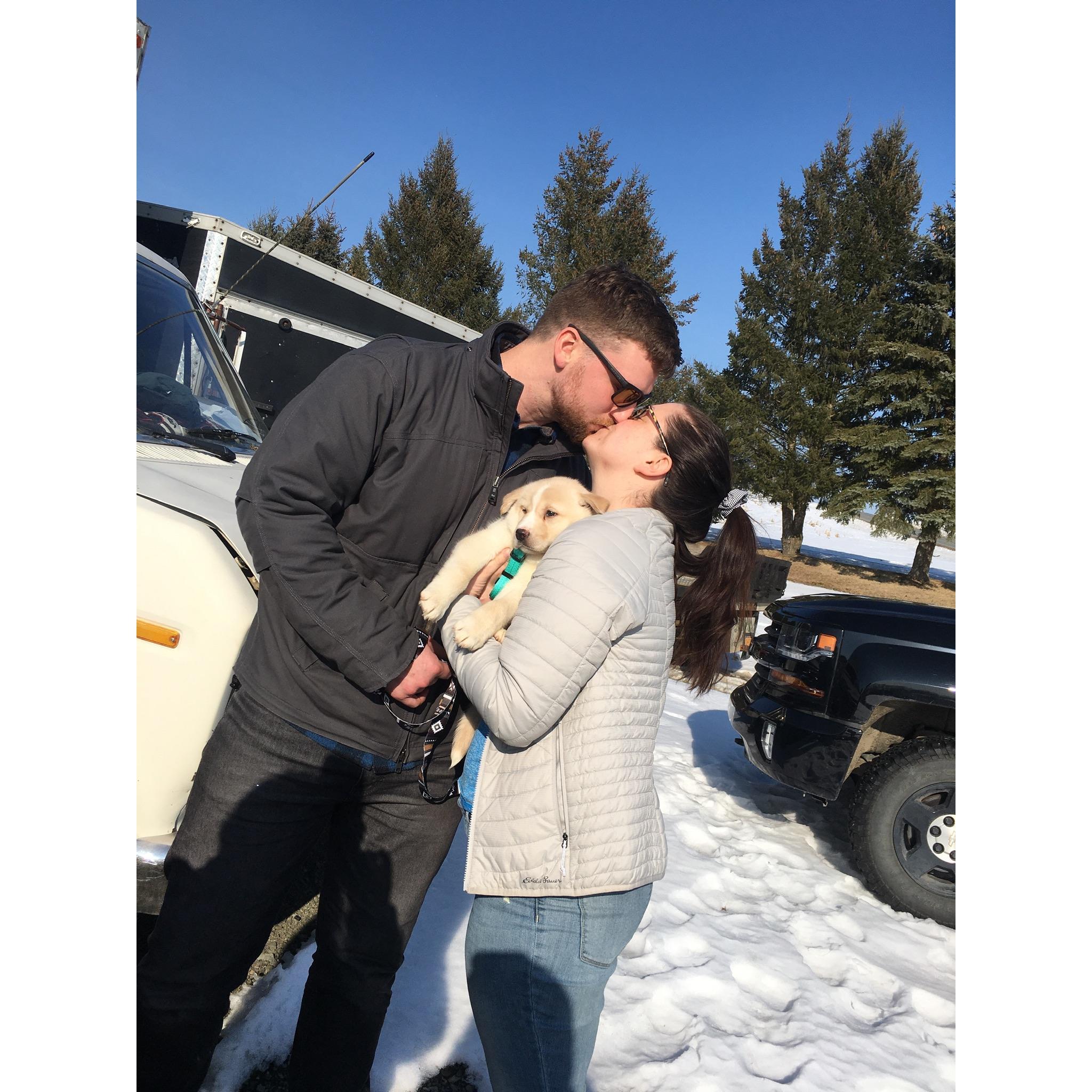 02.22.2020 got our first pup (Lupe)!