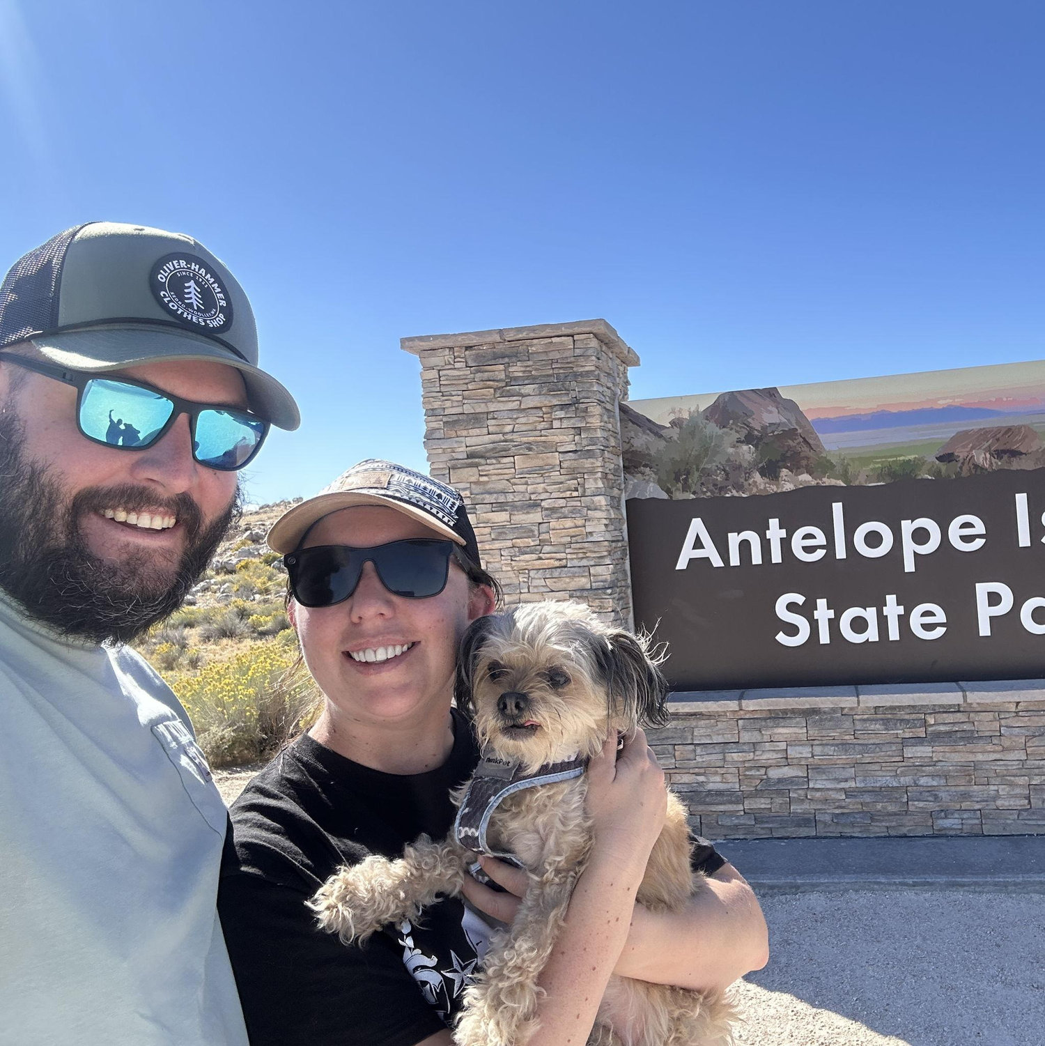 A day with Brutus