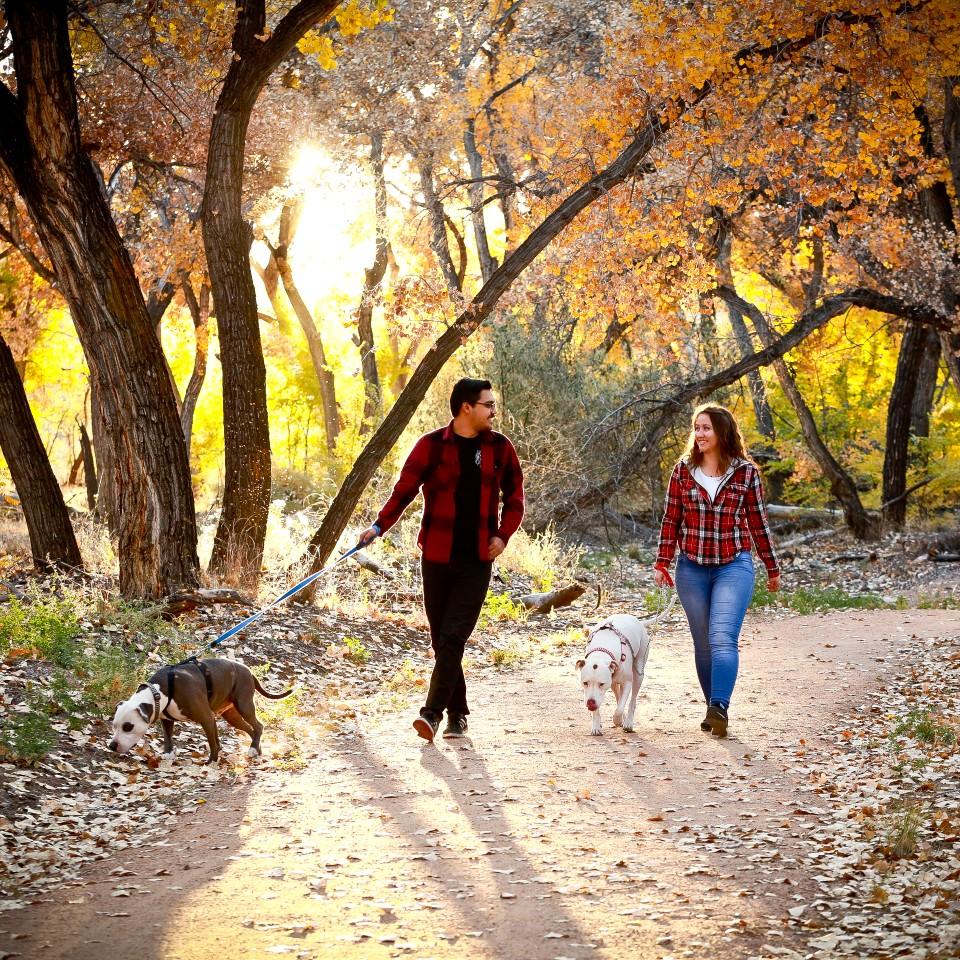 Fall at the bosque <3