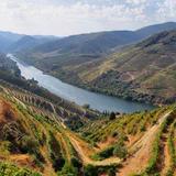 Region - Douro