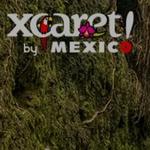 Xcaret