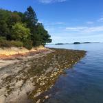 Mackworth Island State Park