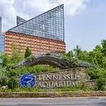 Tennessee Aquarium