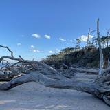 Boneyard Beach at Big Talbot Island