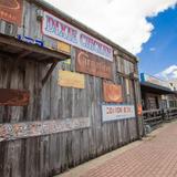Dixie Chicken