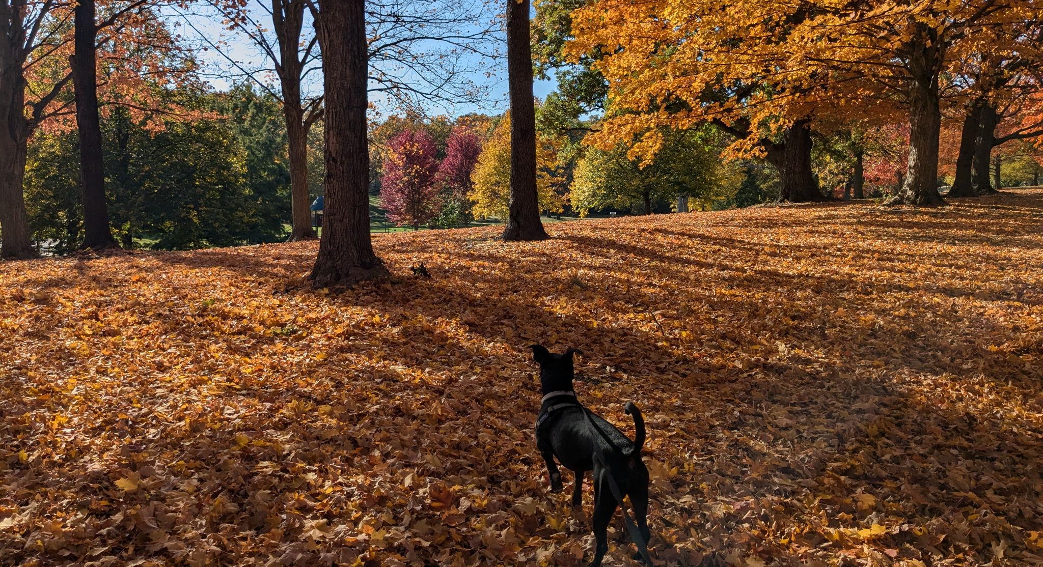 397b1490-317d-4c52-a47e-72a18e2009ec