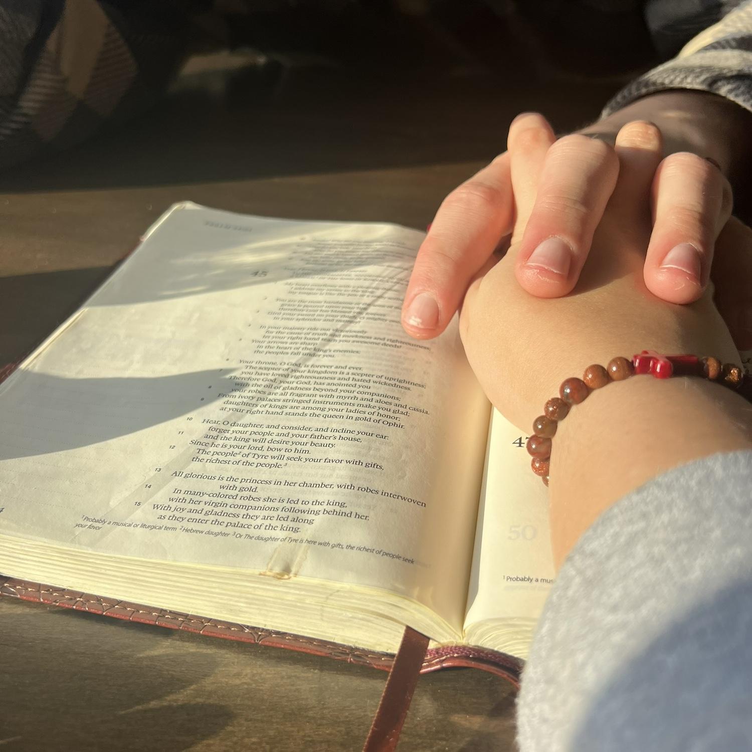 many many Bible studies