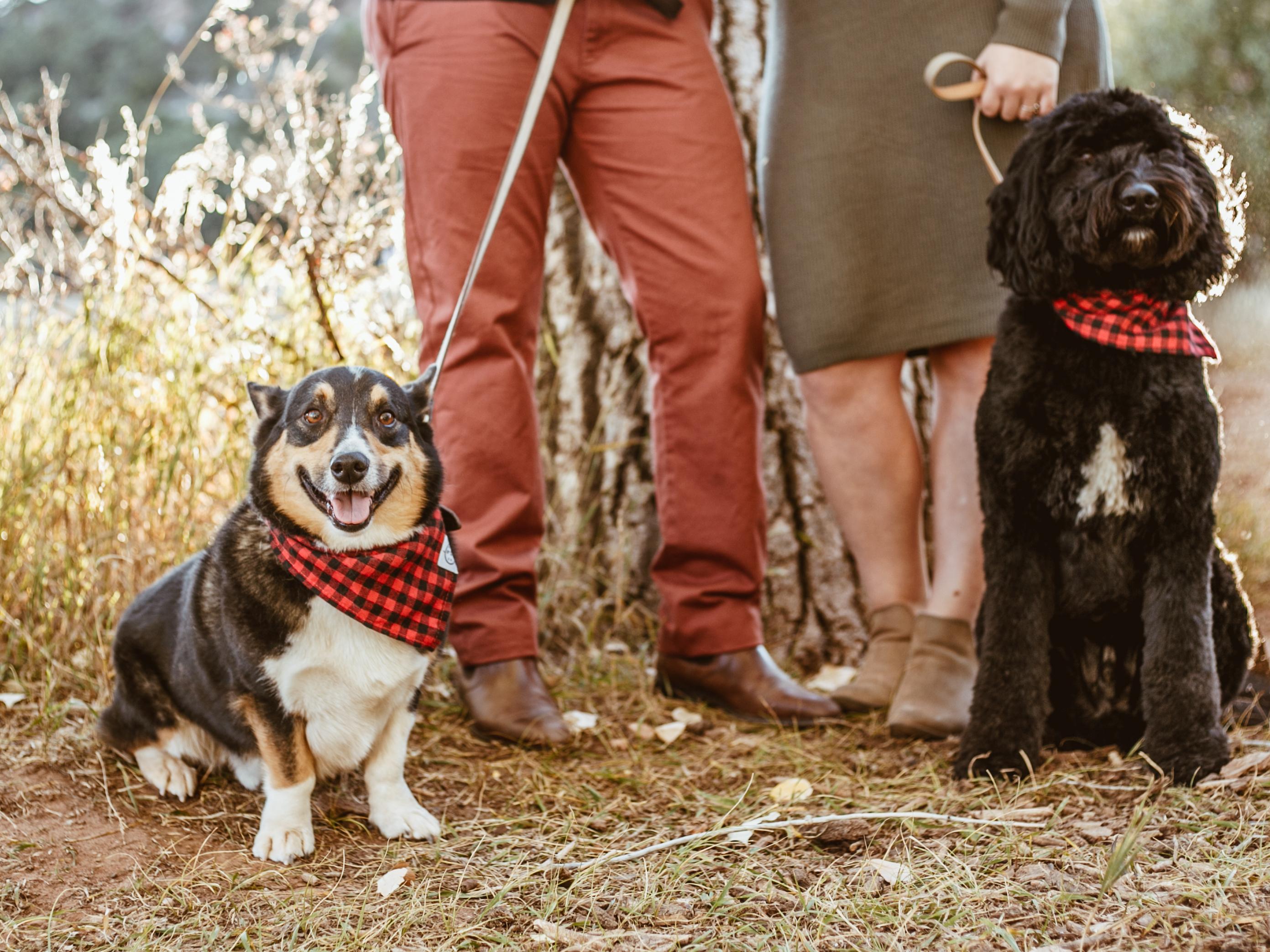 The Wedding Website of Nicole Priest and Carli Burton