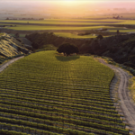 Monterey Wine Trail