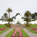 Golden Gate Park