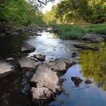 Eno River State Park