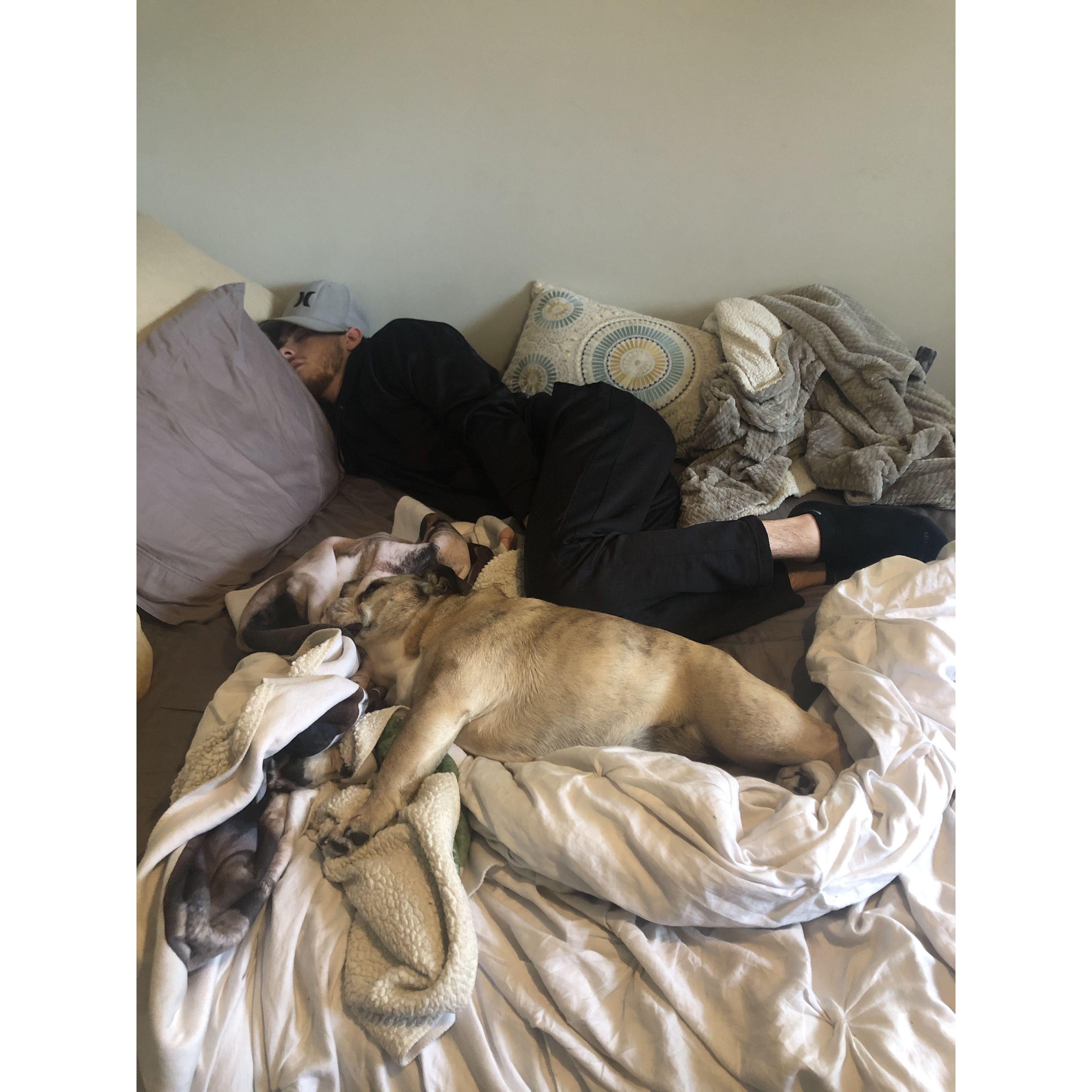 Cade and Piper having a quick nappie!