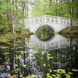 Cypress Gardens