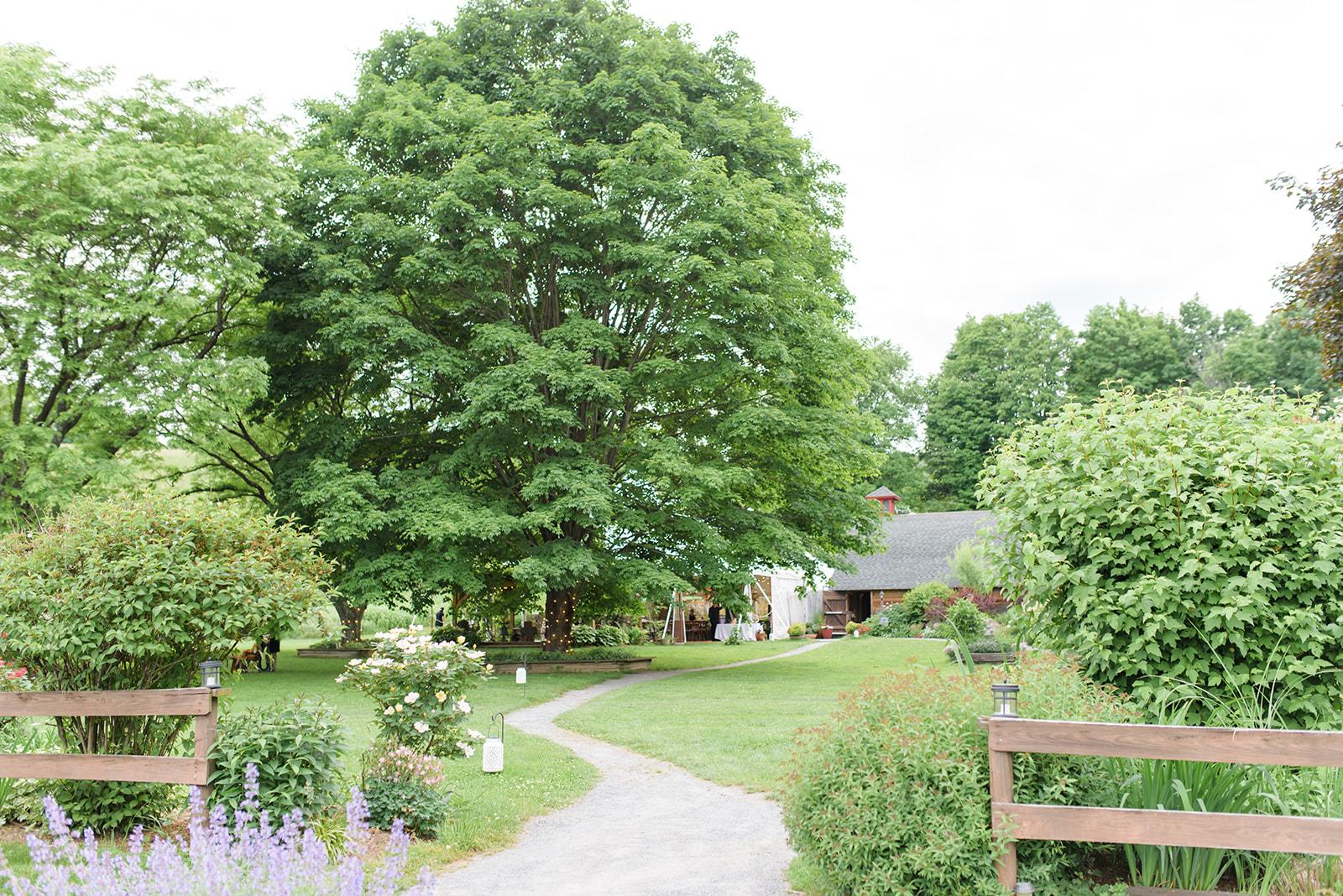 The Wedding Website of Laura Neff and Scott Murphy