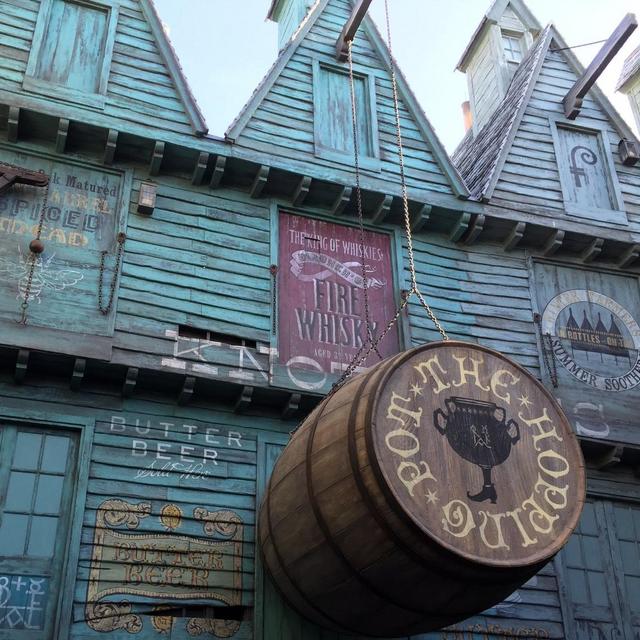 Two Fire Whiskies at The Hopping Pot in Diagon Alley (Day 7 Honeymoon)