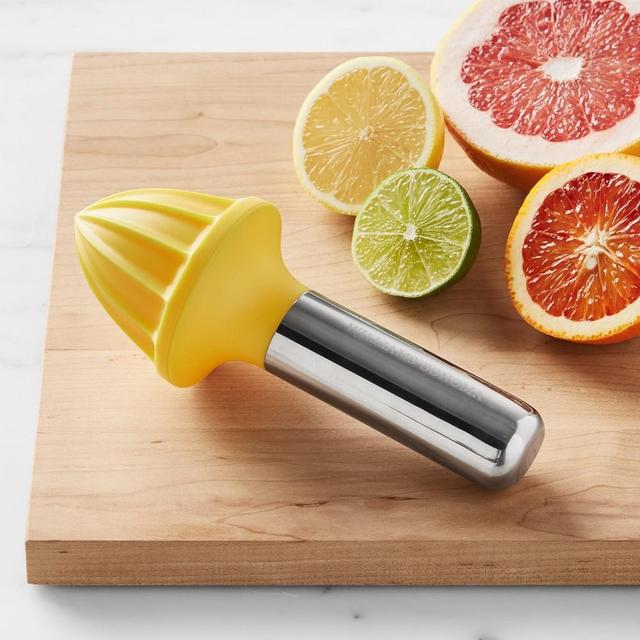 Williams Sonoma Citrus Reamer