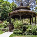 San Diego Botanic Garden