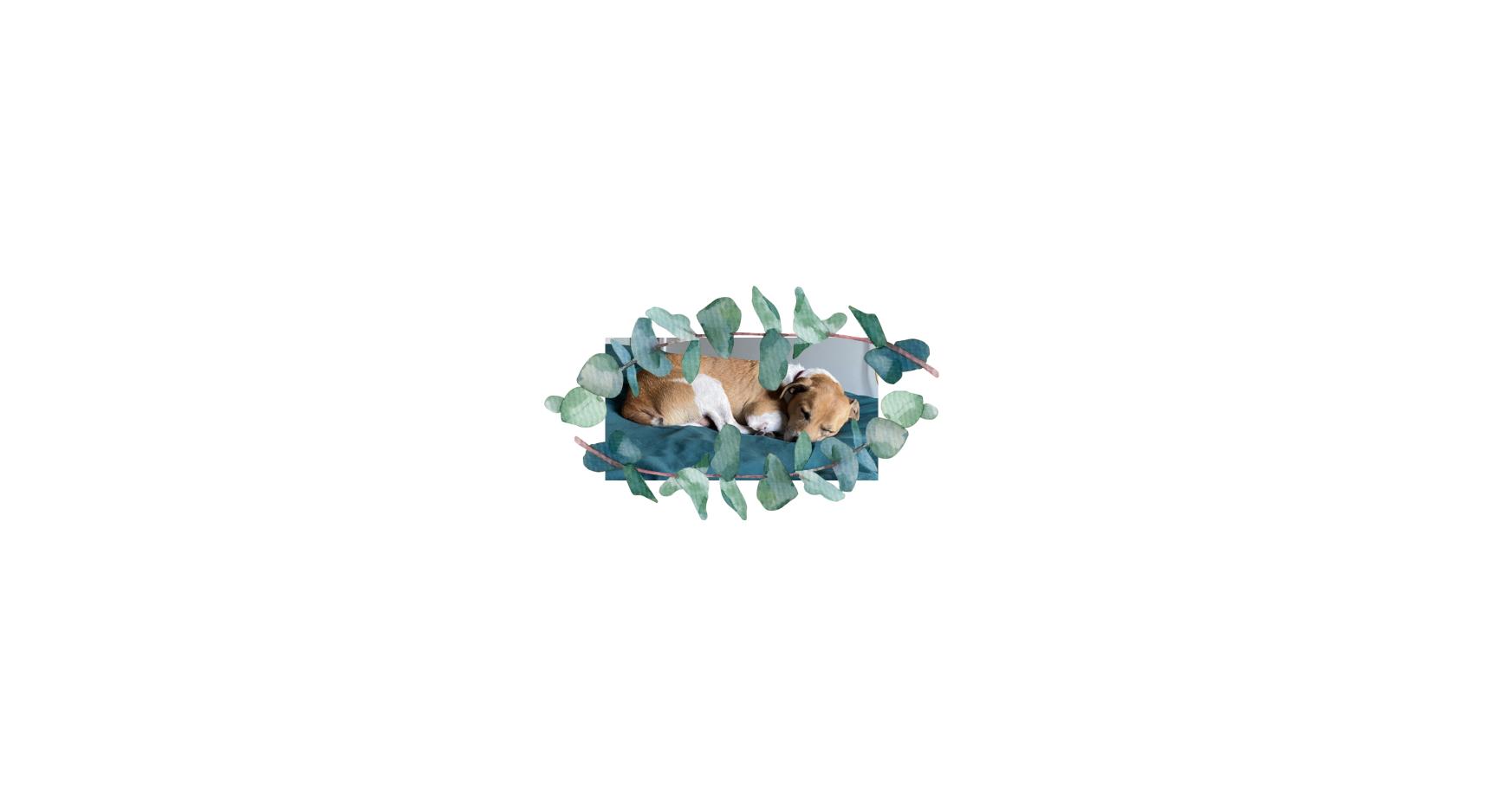 Footer image