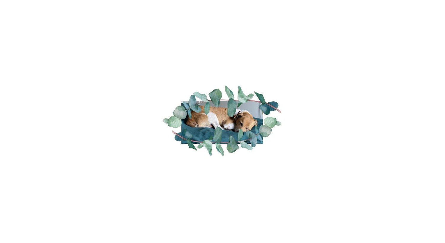 Footer image