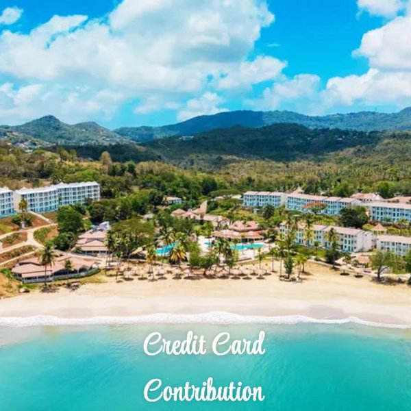 Our Honeymoon Fund (Credit Card Contribution)
