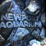 Newport Aquarium