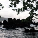 Waiʻānapanapa State Park
