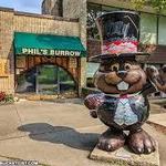 Punxsutawney Phil's Burrow