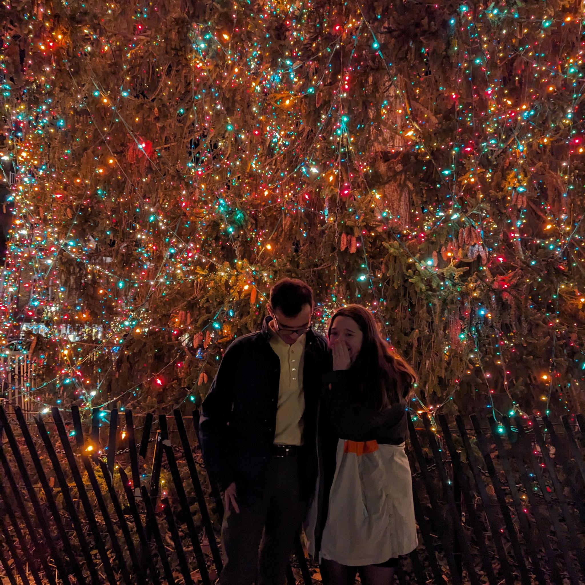 Christmastime in Princeton, NJ