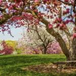 Minnesota Landscape Arboretum