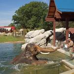 Denver Zoo
