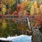 Mendon Ponds Park