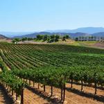 Temecula Wine Trolley - Wine Tours