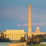 Washington D.C.