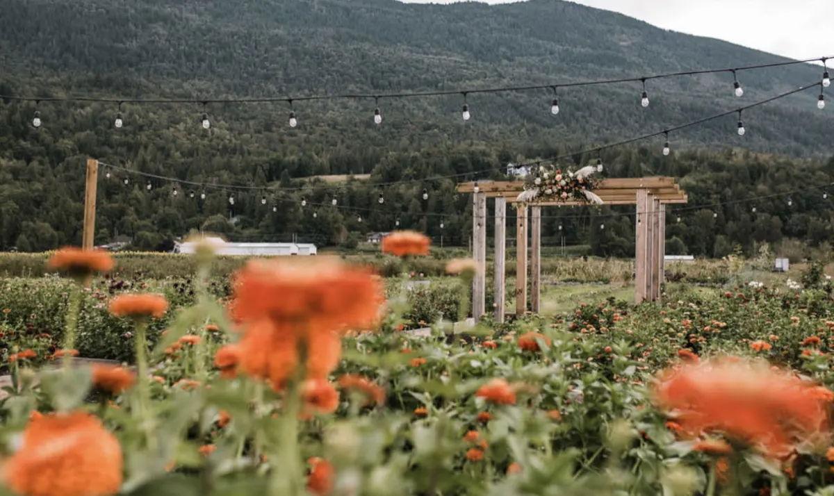 The Wedding Website of Leanna Larson and Owen Munro