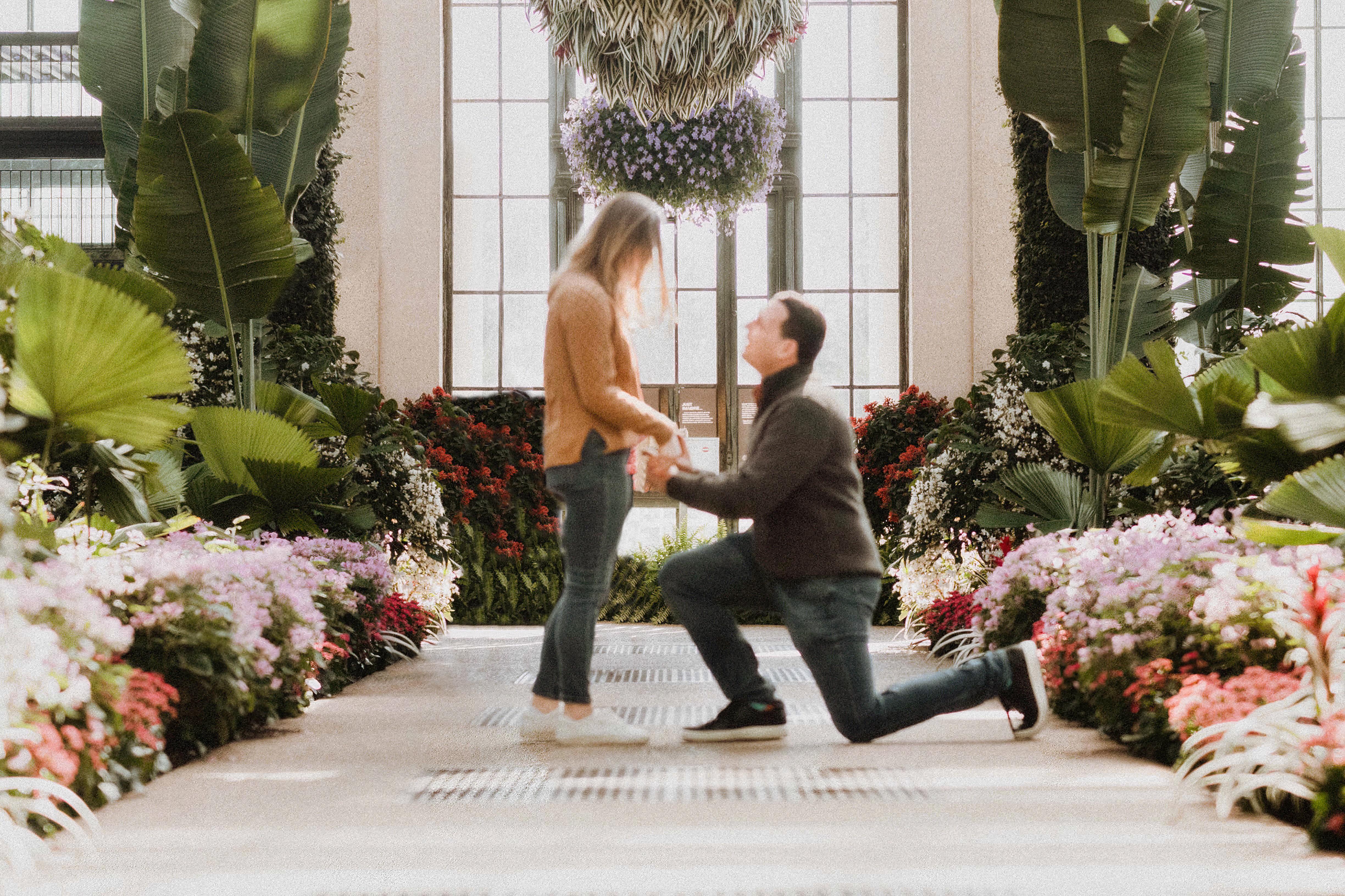 The Wedding Website of Paige Nicholas and Nick Mastria