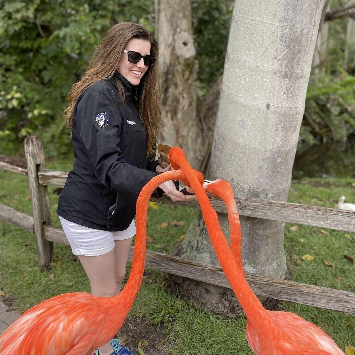 Haley loves feeding Flamingos