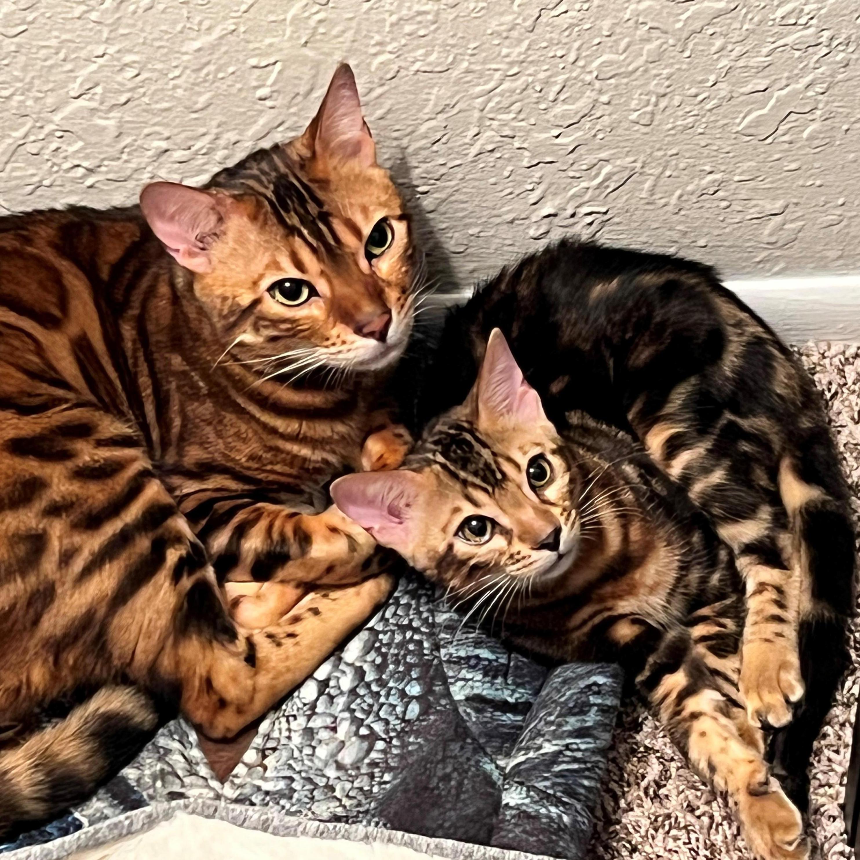 Our children: Marvel and his baby brother Zero